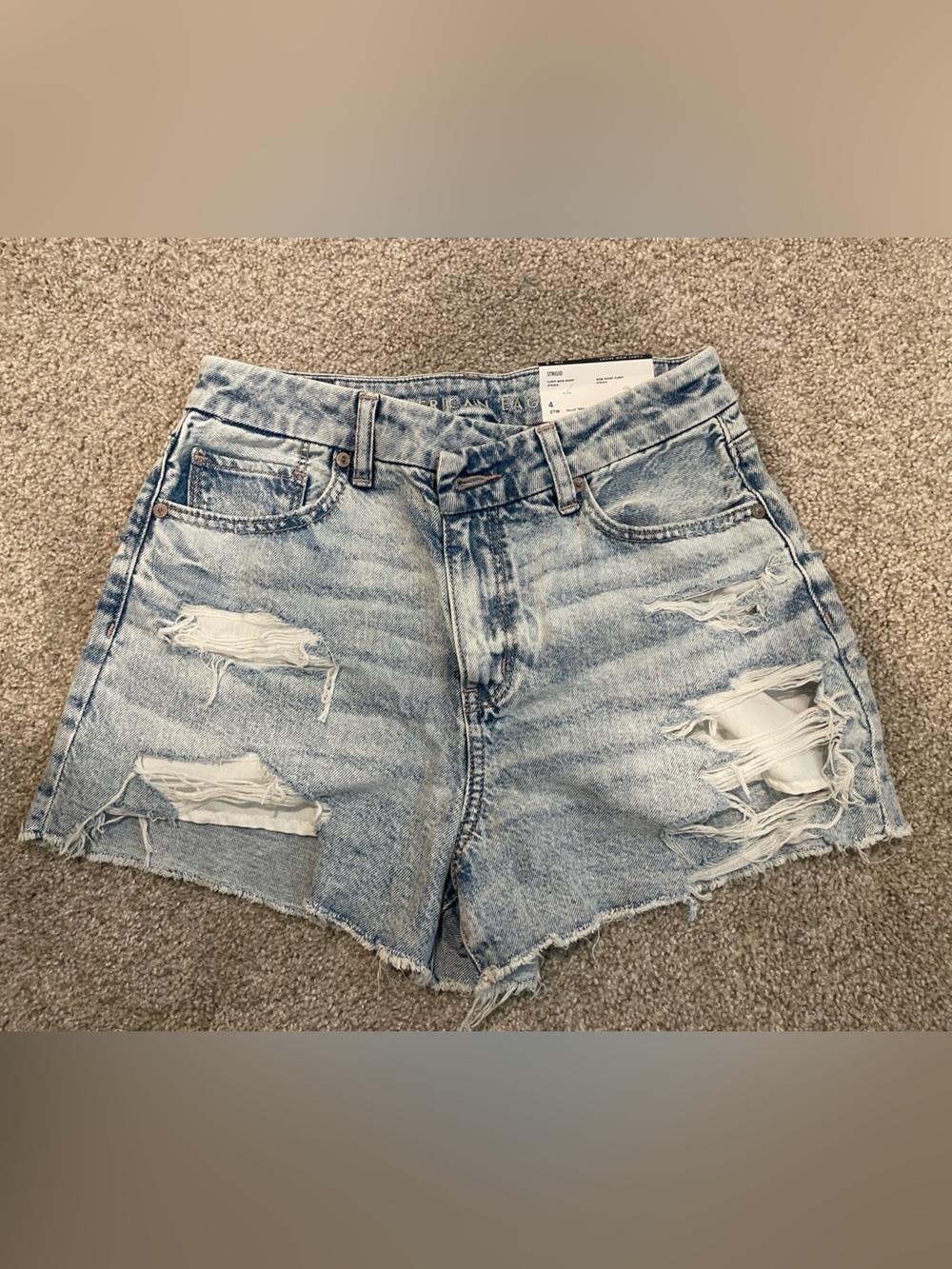 American Eagle Outfitters Light Blue Ripped Denim Shorts